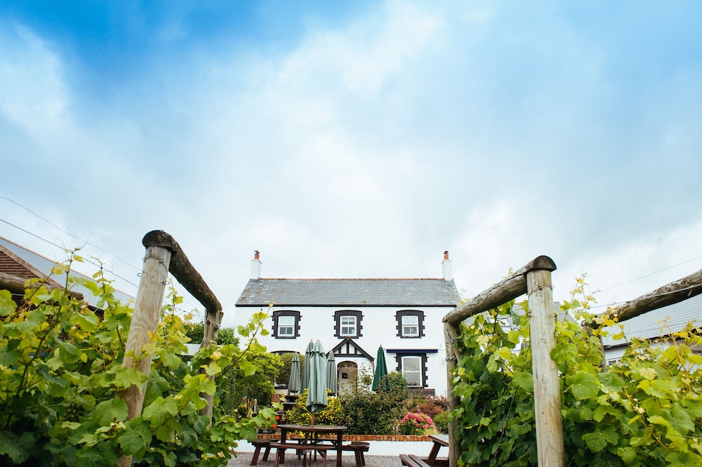 Llanerch Vineyard 39/50
