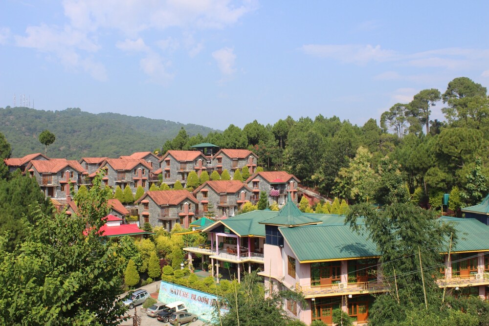 Nature Bloom Hotel And Resort 49/50