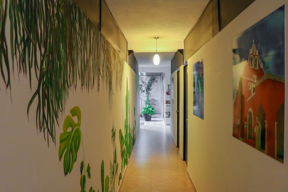 Gayser Hostal 13/25
