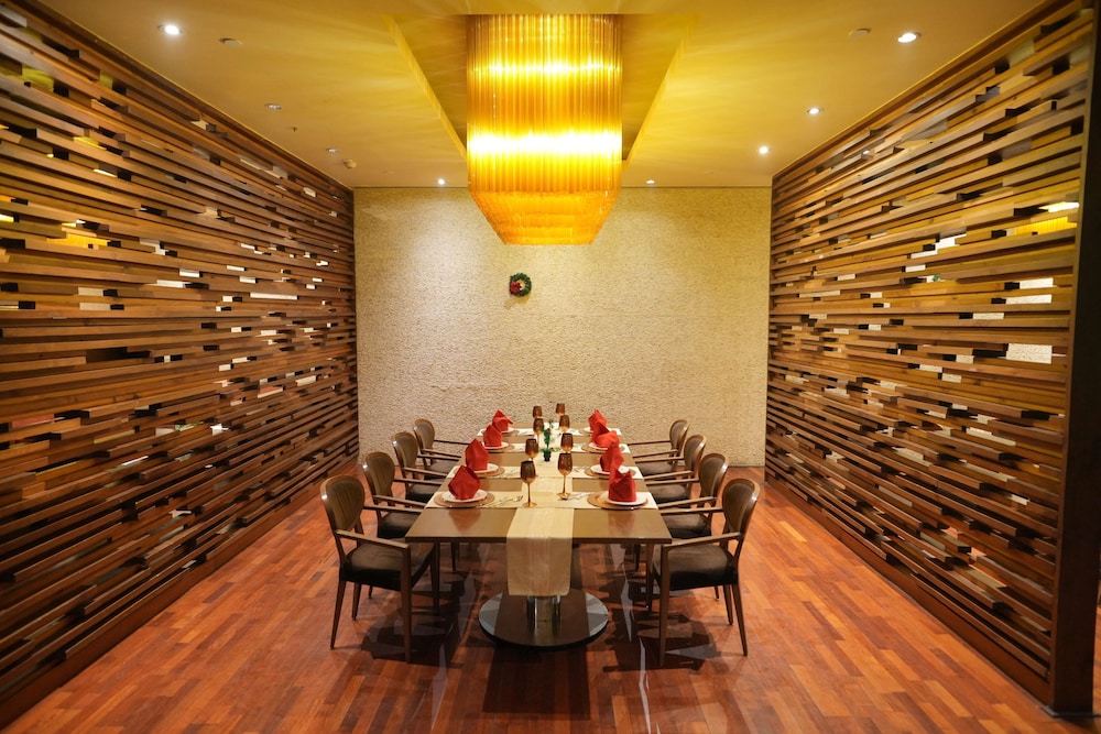 Radisson Blu New Delhi Paschim Vihar 39/50