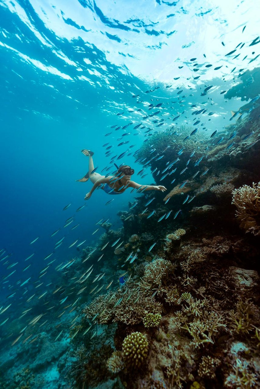 Ayada Maldives 60/65