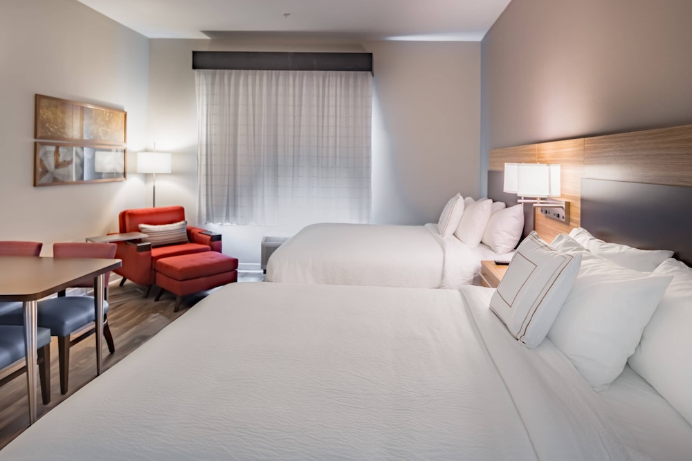 TownePlace Suites by Marriott Austin South 10/43