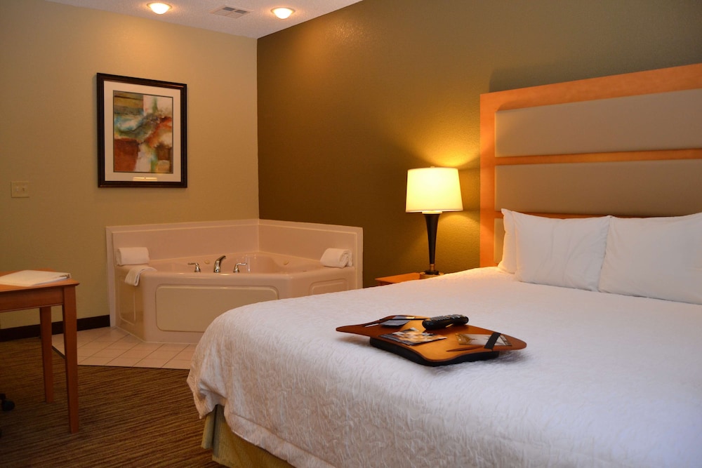 Hampton Inn & Suites Kalamazoo-Oshtemo 13/42