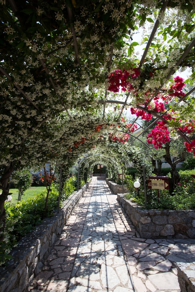 Akti Taygetos Conference resort 32/44