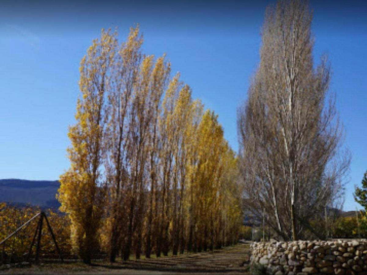 Weltevrede Fig Farm 9/13