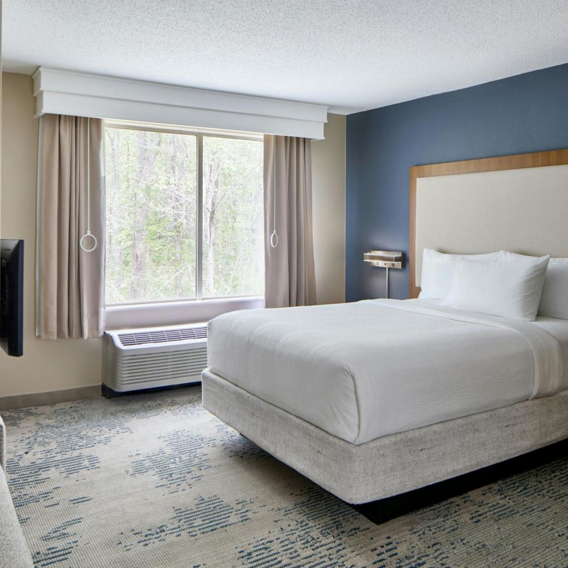 Suite, Trundle Bed, Queen Bed, Sofa, Bathtub, Accessible