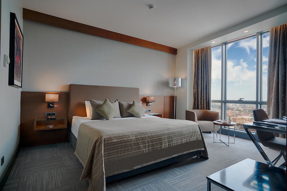Radisson Blu Hotel Ankara Cankaya 22/56