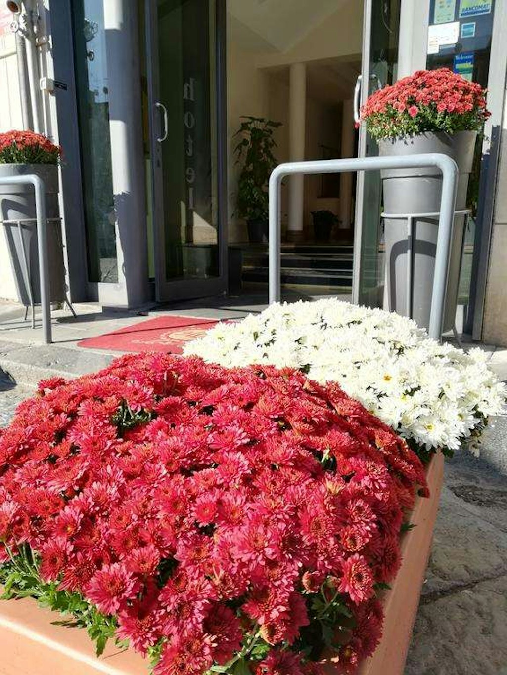 Hotel Leopardi 46/50