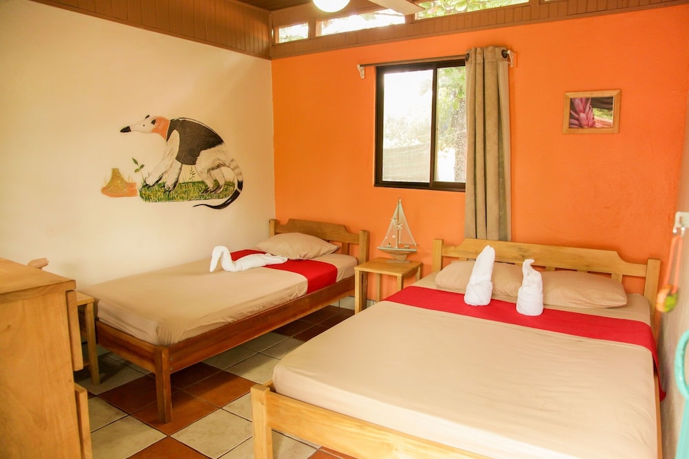 Hotel Playa Samara 13/50