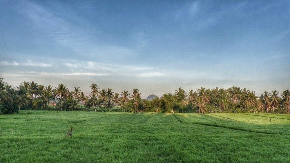 Bali Harmony Villas 38/50