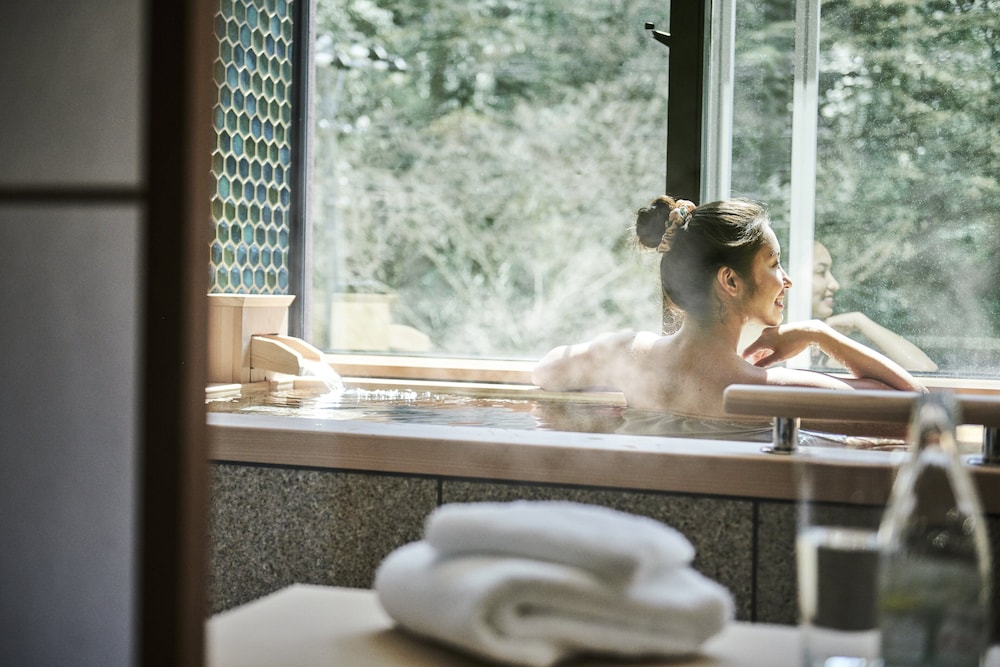 Hotel Indigo Hakone Gora 18/78
