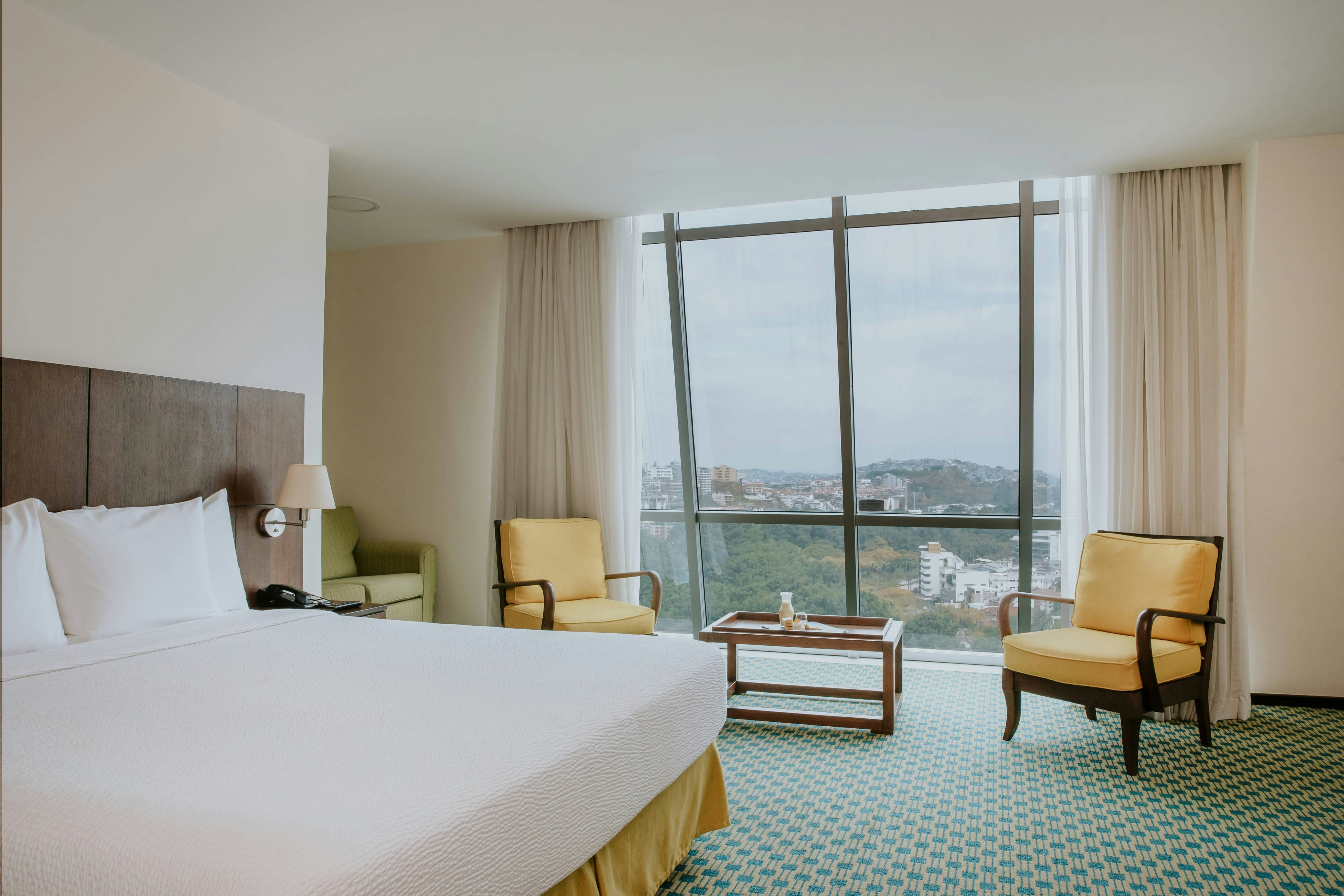 Room, King Bed
