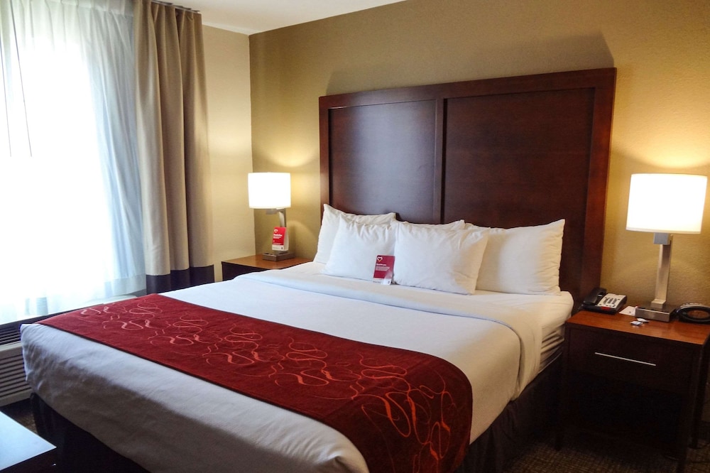 Comfort Suites Downtown Sacramento 11/47
