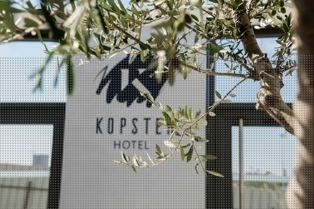 KOPSTER HOTEL LYON GROUPAMA STADIUM 5/54