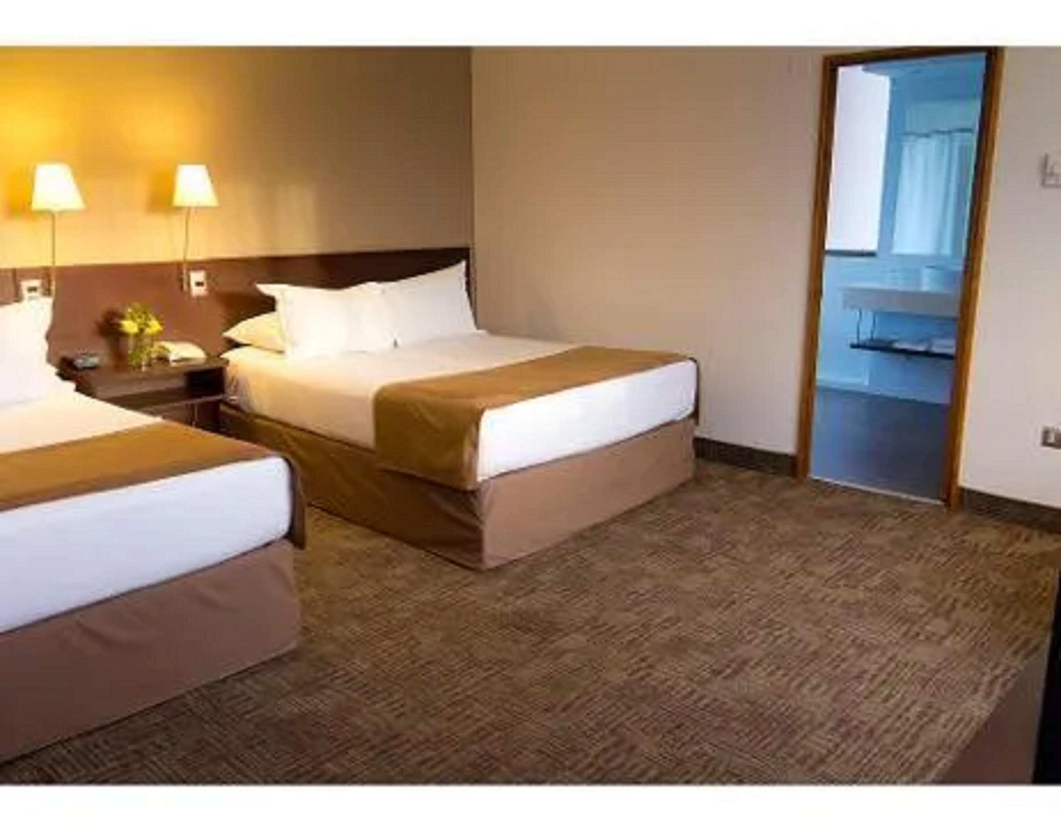 غرفة قياسية بإطلالة على الجبل، Hotel Director Vitacura 2/6
