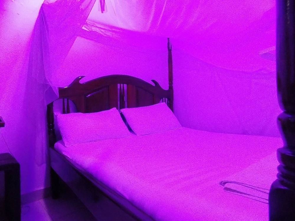 Star Royal Motel 6/18