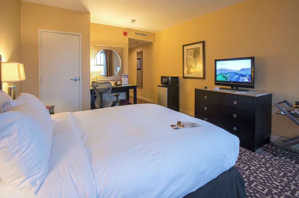 DoubleTree Suites by Hilton Detroit Downtown - Fort Shelby 17/59