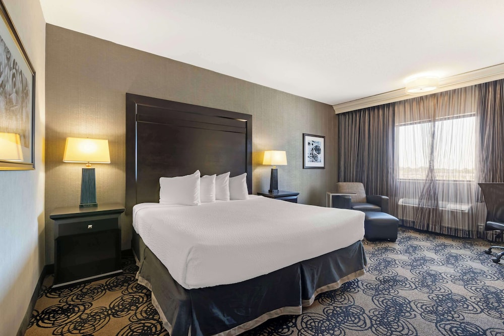 Standard, King Bed, Accessible