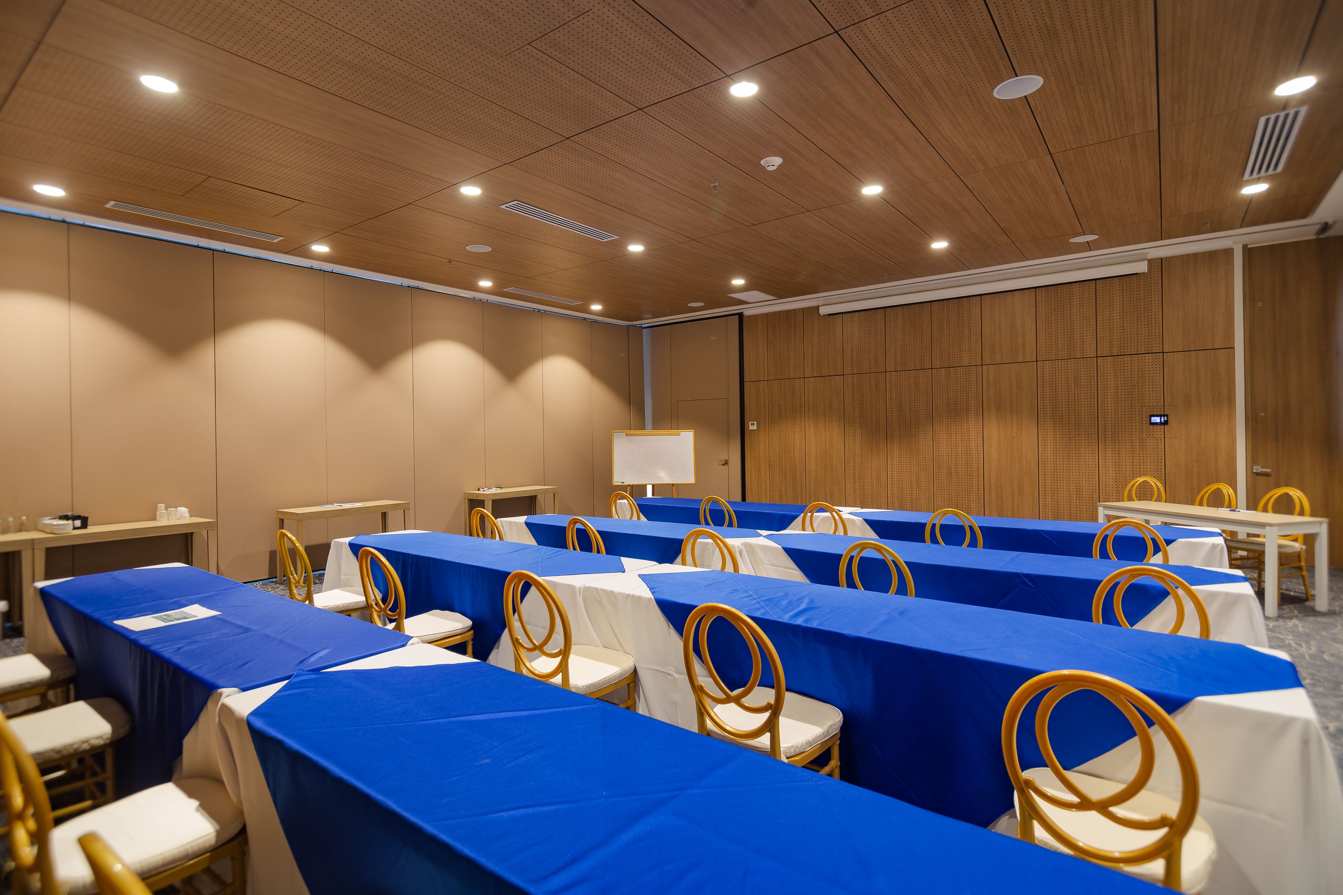 Holiday Inn Express Cartagena Manga 28/65