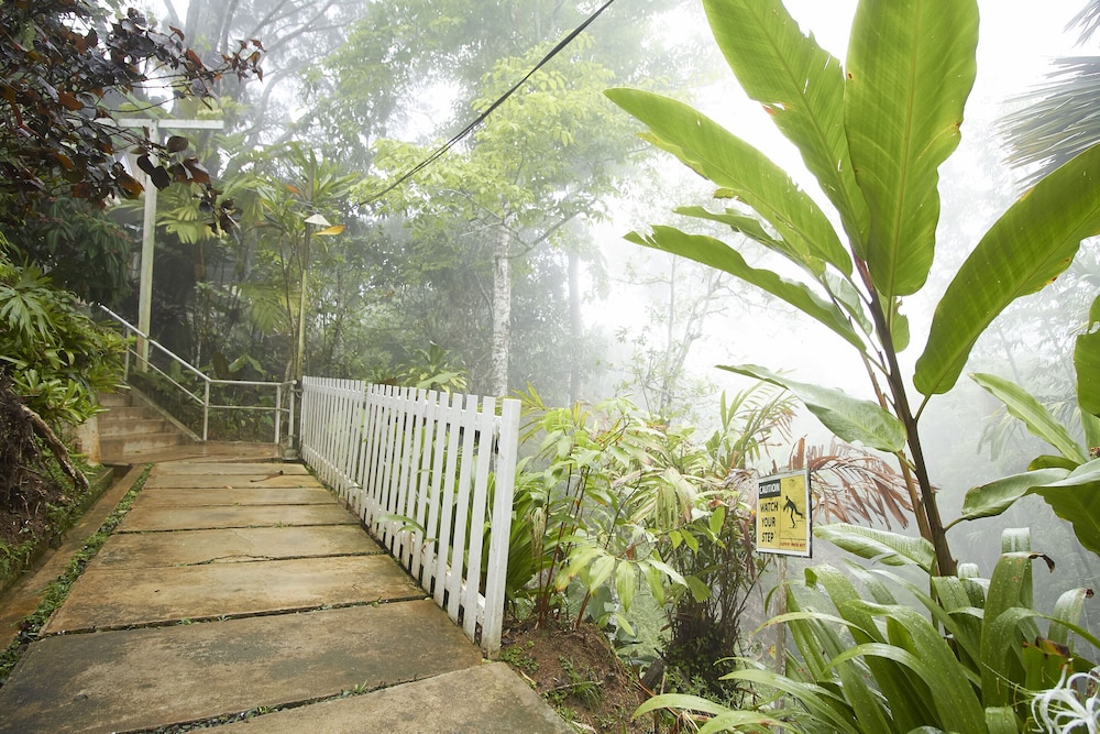Bellevue The Penang Hill Hotel, Bukit Bendera 30/33