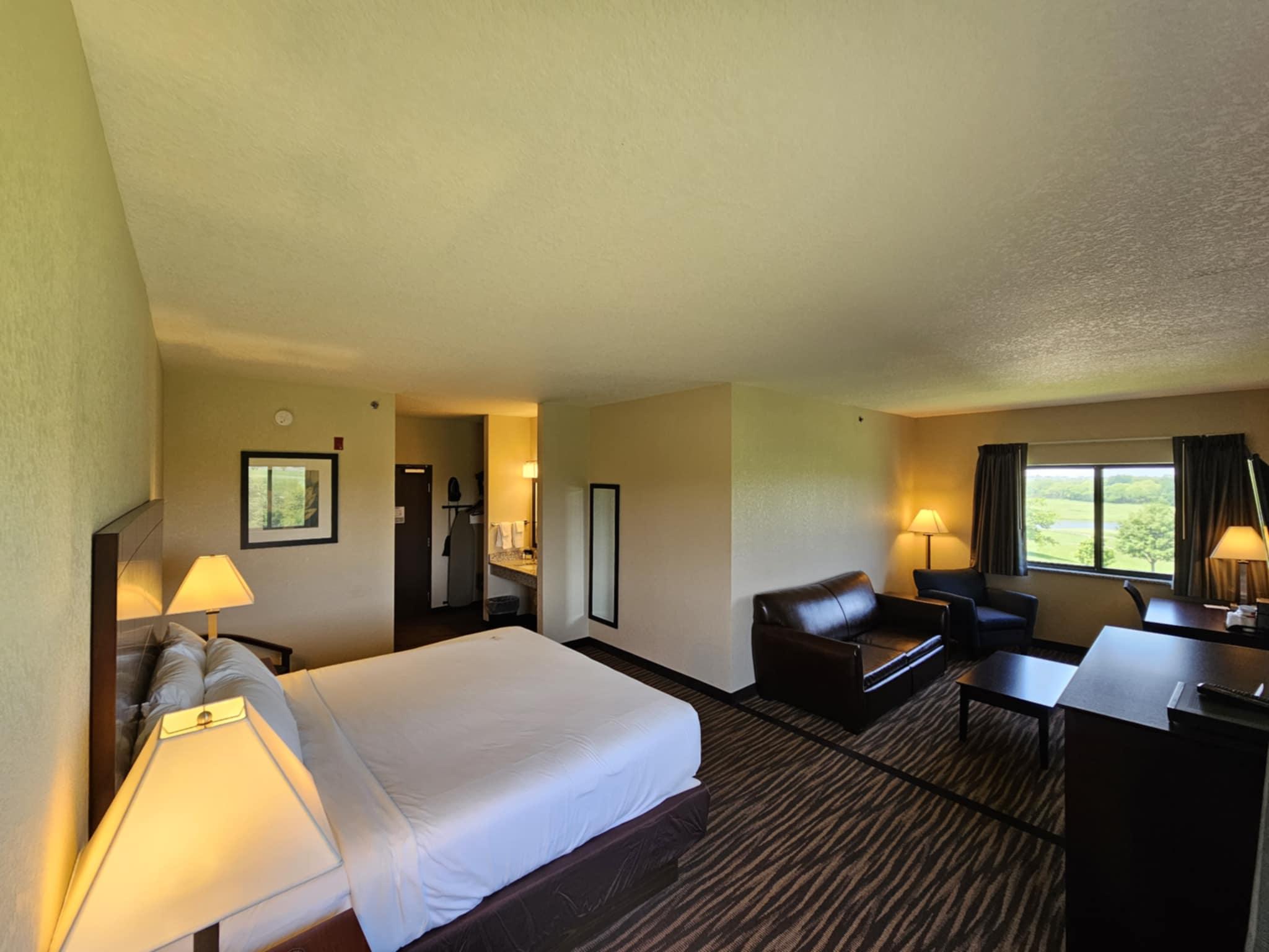 Executive, Suite, Single, King Bed