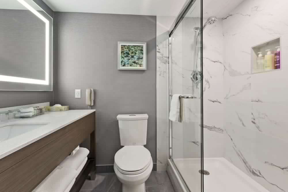 Best Western Premier Calgary Plaza Hotel and Conference Centre 18/65