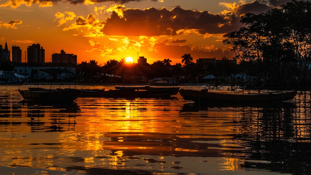 Ibis Paranagua 53/59