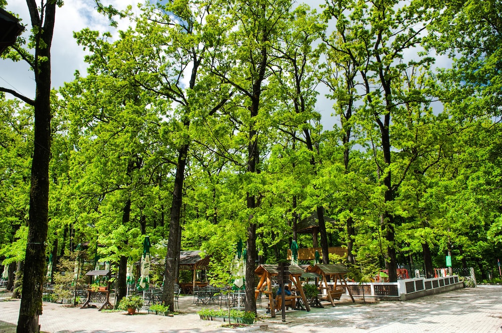 Hotel Cornul Vanatorului 65/68