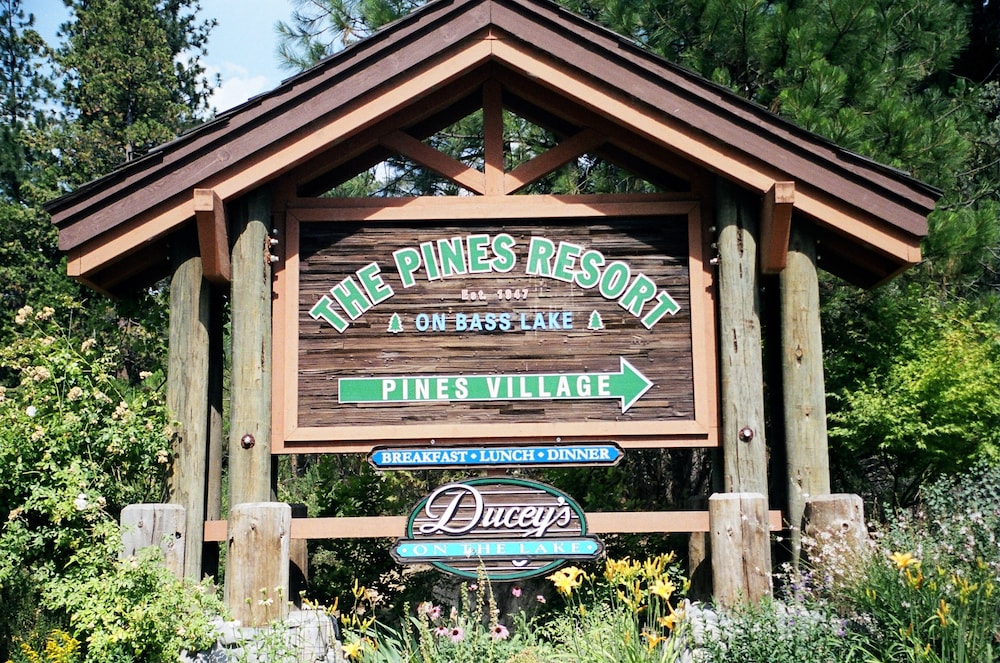 The Pines Resort 3/47