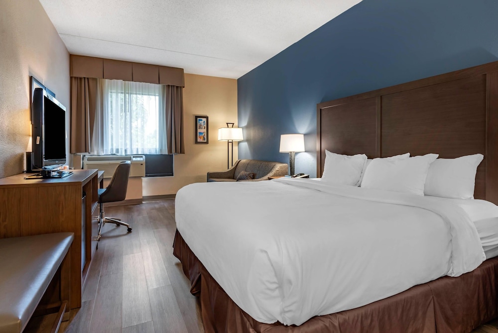 Upgrade, King Bed