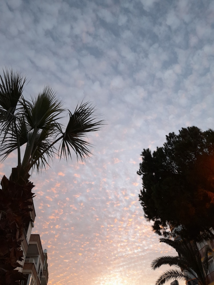 Luna Piena Beach Hotel 39/50