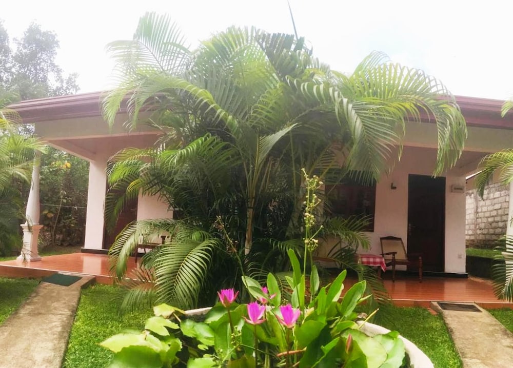 Lal Homestay 34/50
