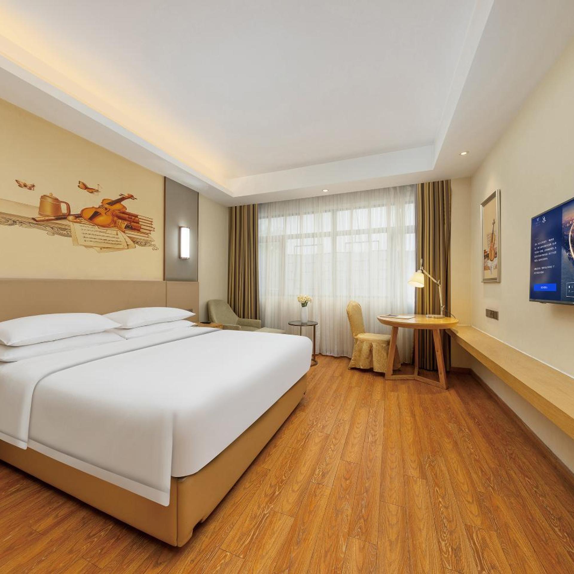Vienna International Hotel (Xi'an Big Goose Pagoda) 14/51