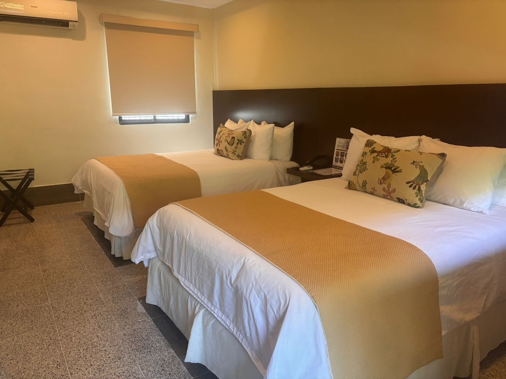 Hotel Gran David 18/50
