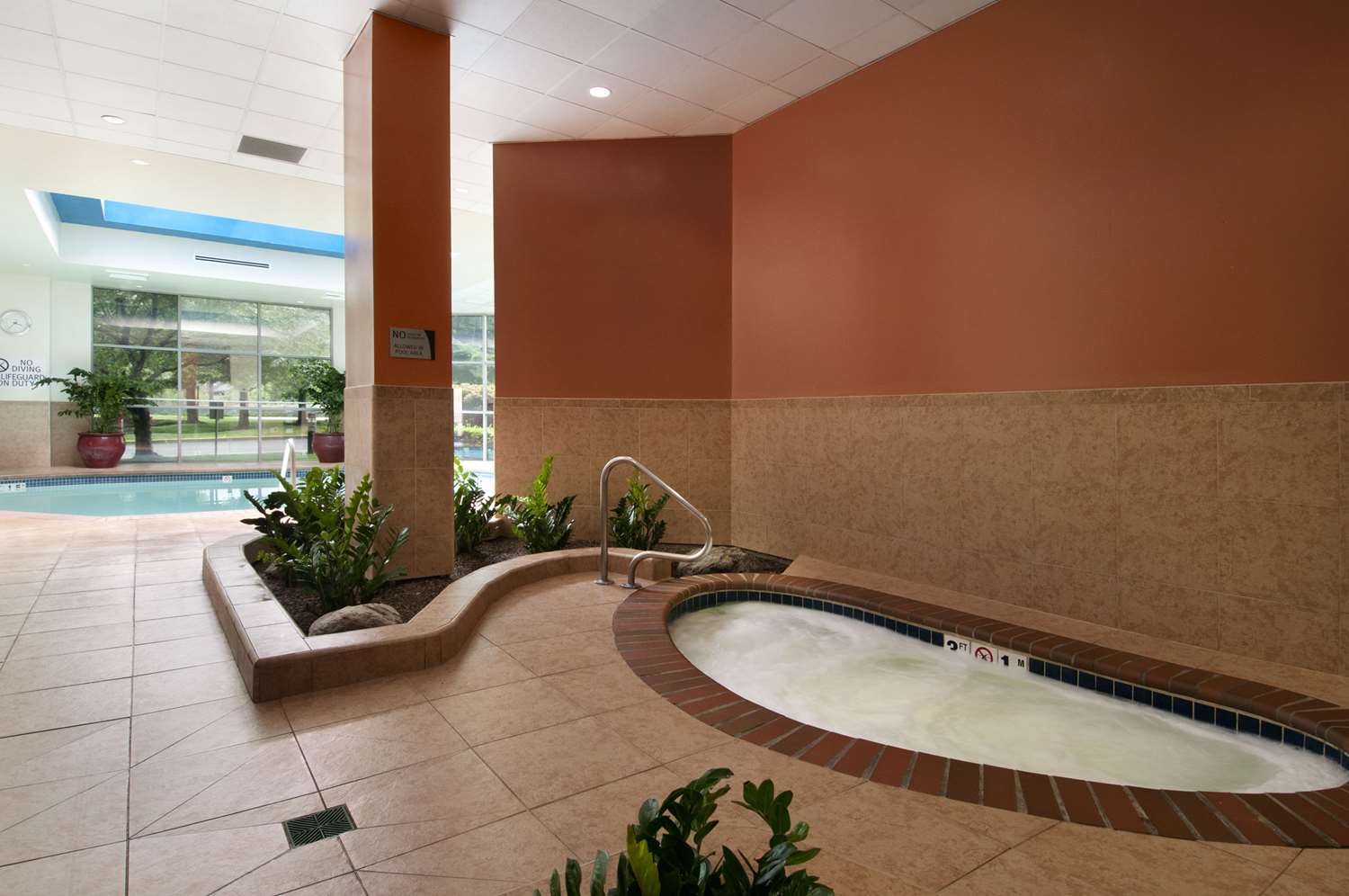 swimming pool spa