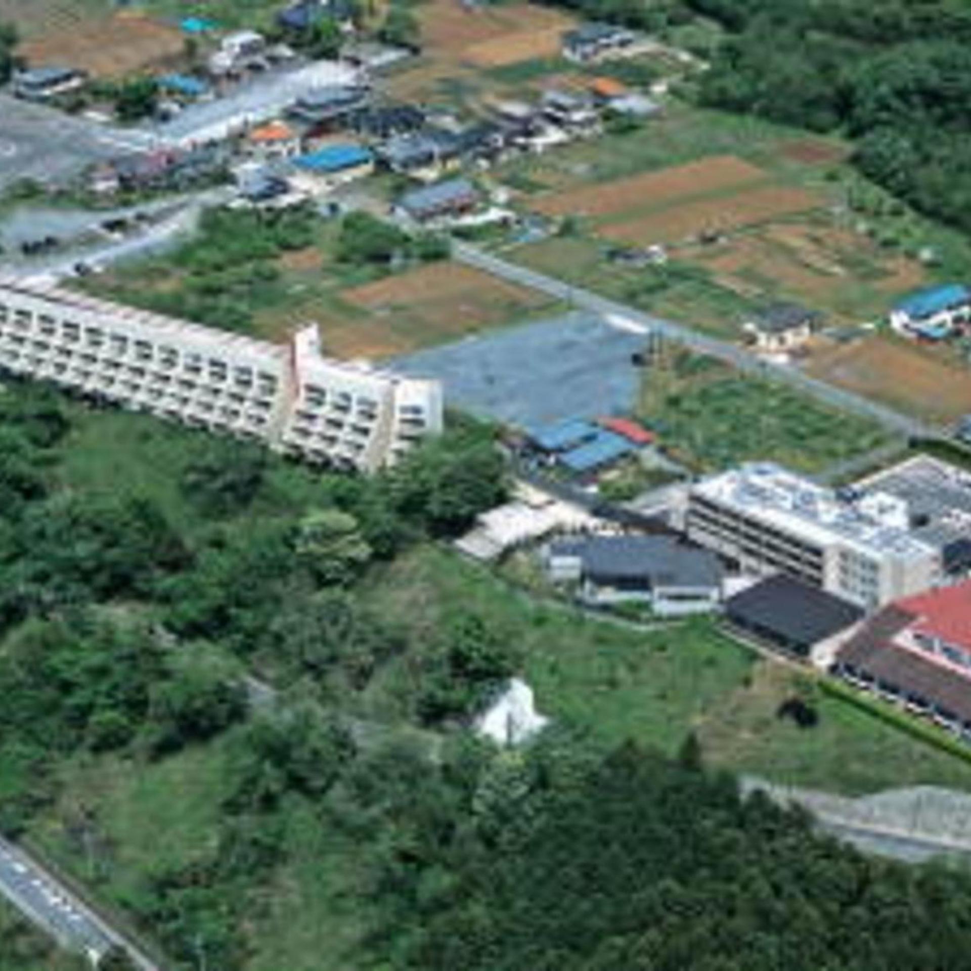 Natural Farm City Noen Hotel 54/56