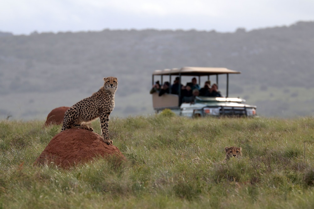 Bukela Game Lodge 56/59