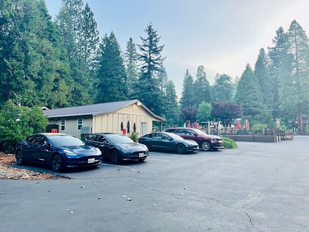 Shasta Inn 41/46