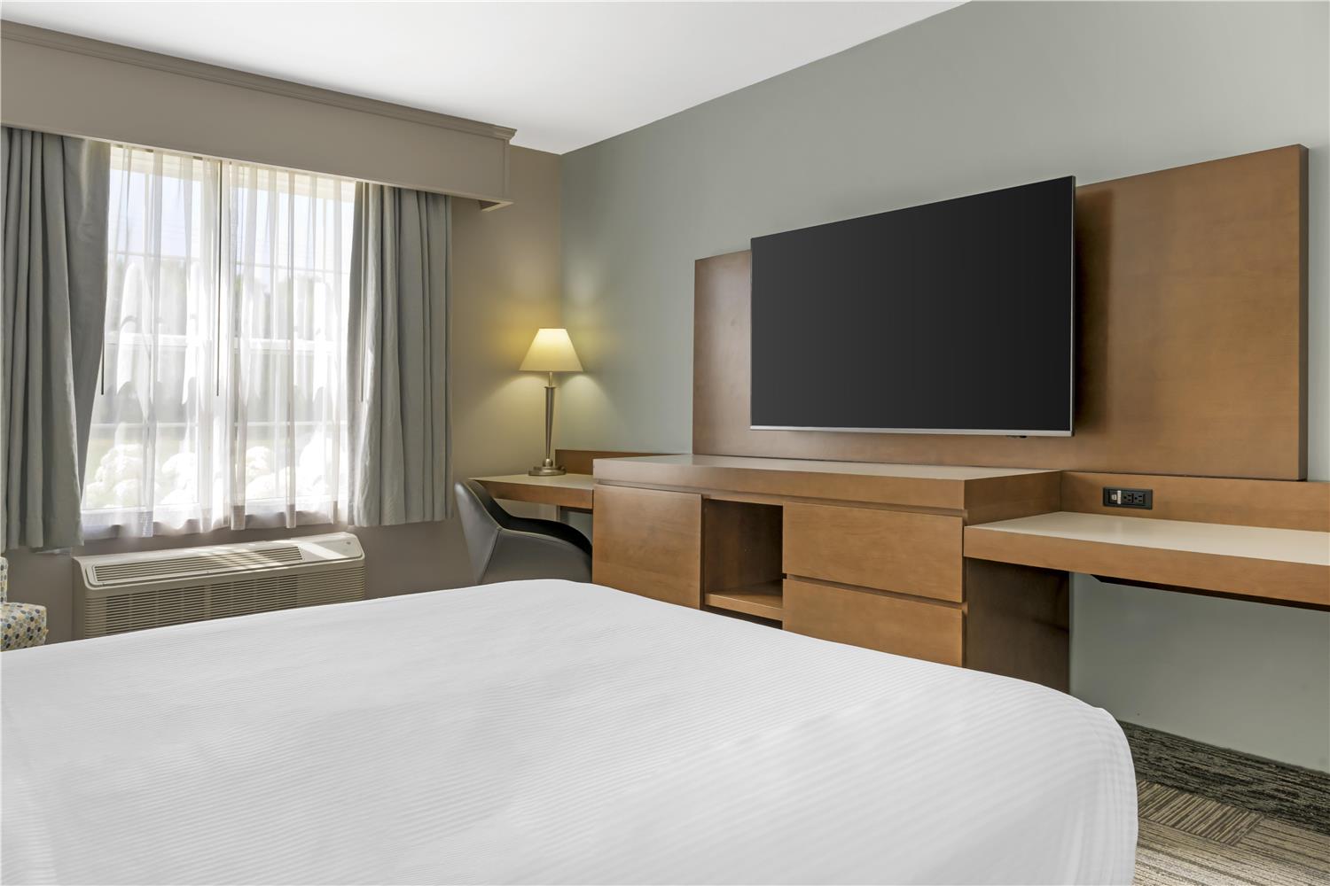 Room, Queen Bed