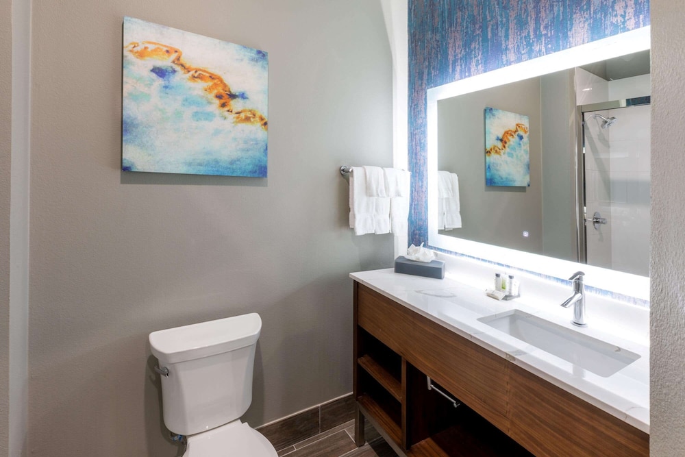 La Quinta Inn & Suites by Wyndham Frisco 11/39