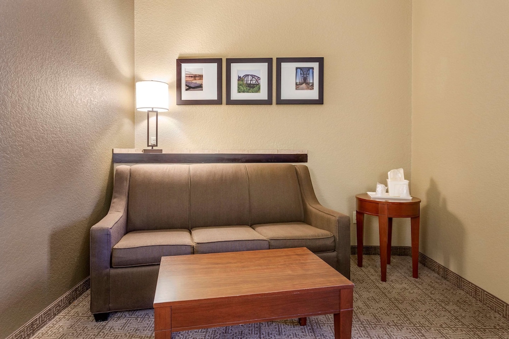 Comfort Suites Jonesboro University Area 15/32