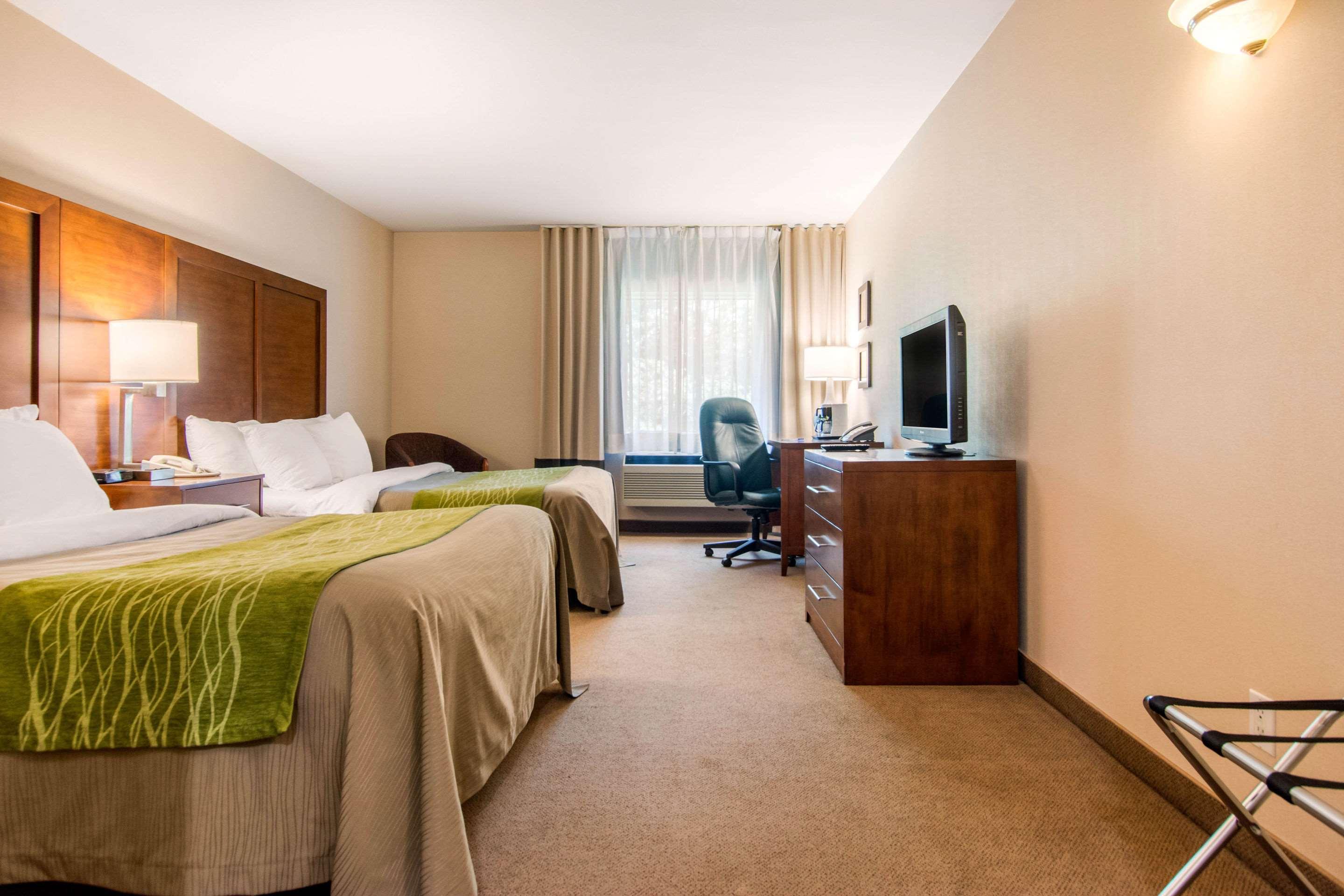 Room, 2 Double Beds