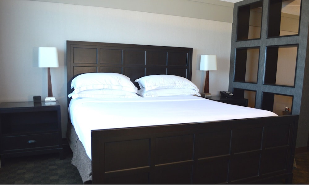 Hilton Winnipeg Airport Suites 14/65