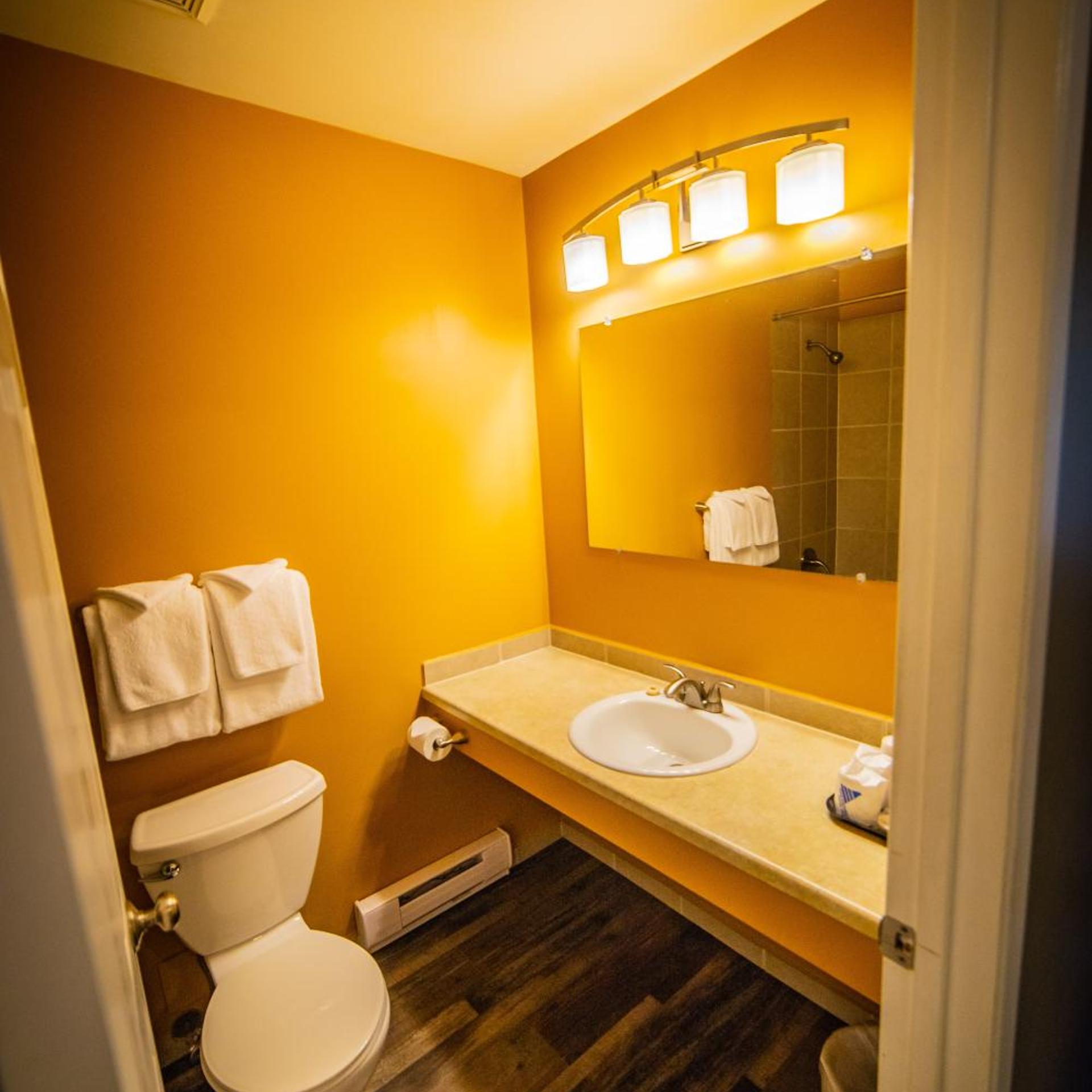 Alpine Inn & Suites 49/50