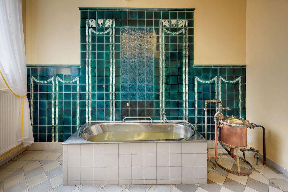 Centralni Lazne Ensana Health Spa Hotel 49/49