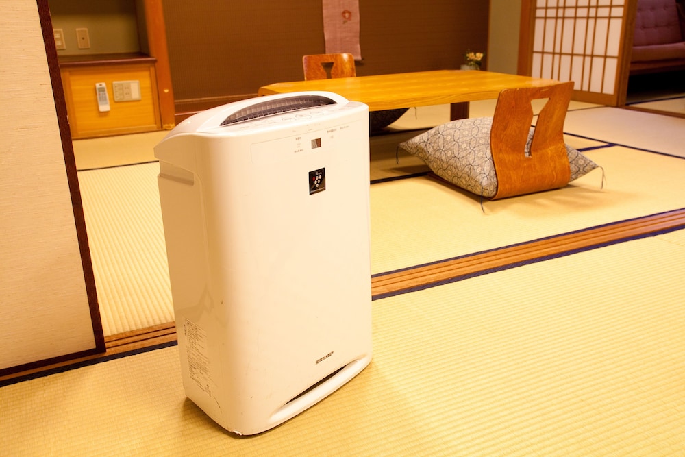 JAPANESE, TEMPLE VIEW, TATAMI