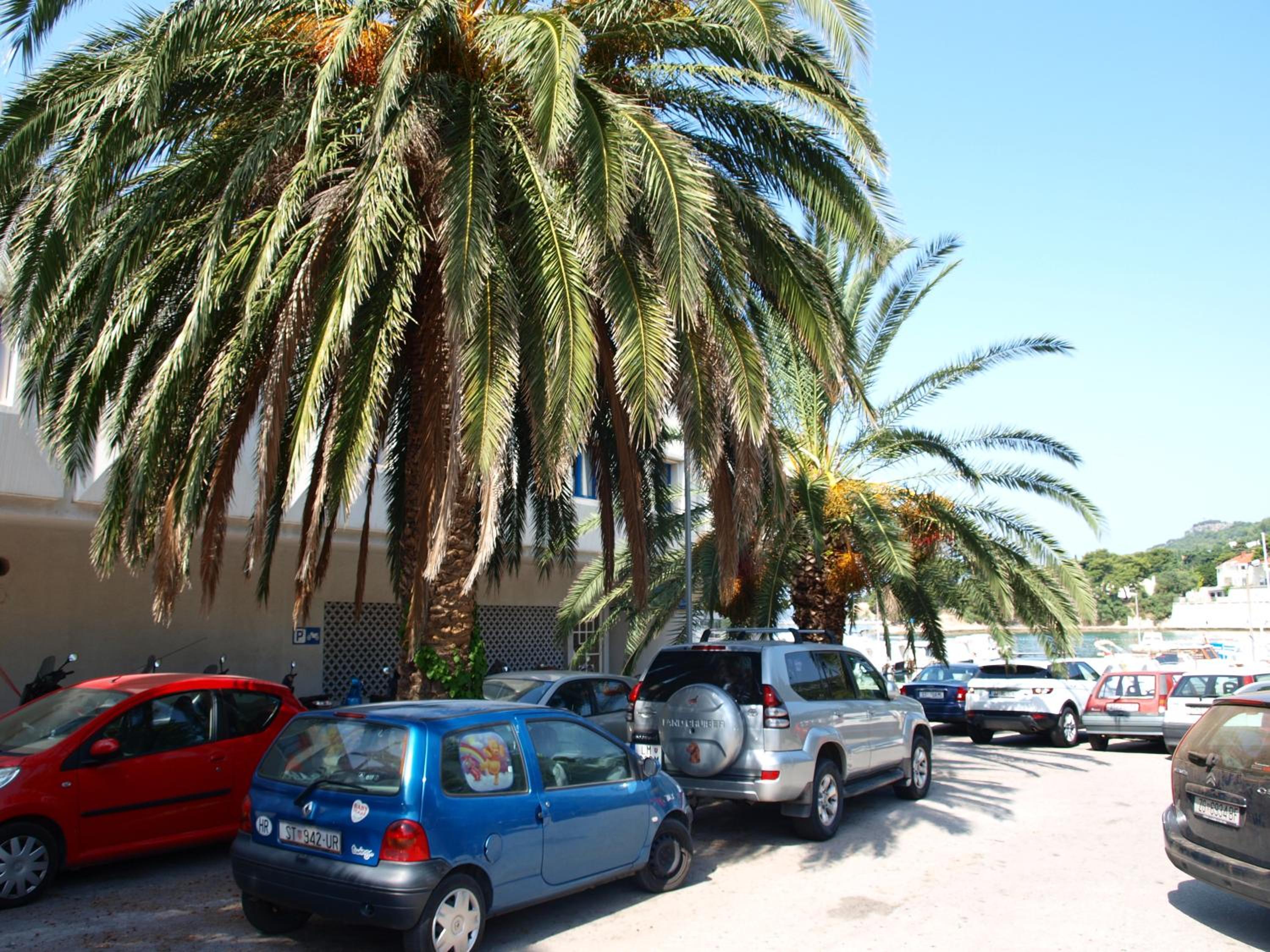 Jadran Zvoncac Accommodations 41/52