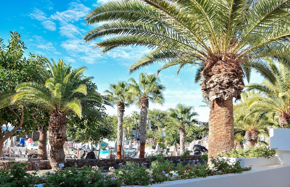 H10 Suites Lanzarote Gardens 8/73