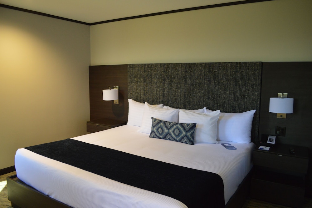 Grand Hotel Tijuana 29/77