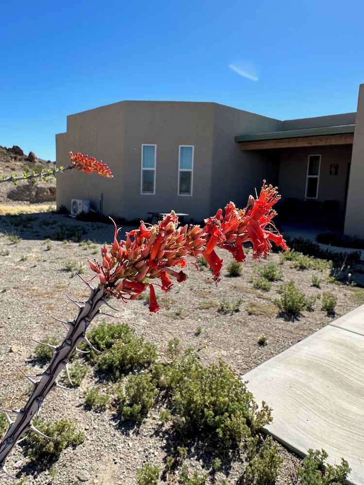Paisano Village RV Park & Inn 15/16